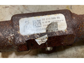 Топливная рампа 9821399680, 9821300680   Peugeot Partner III   для двигателя DV5RD