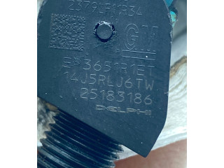 Vstřikovač 25183186, 28264951   Opel Antara     