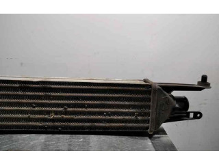 Интеркулер     Fiat Grande Punto 1.2