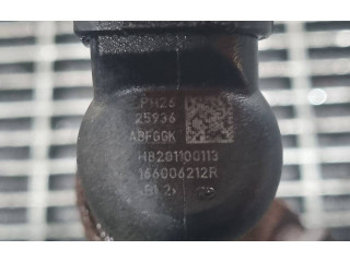 Жиклер (жиклеры) (форсунка (форсунки) H8201100113, 166006212R   Dacia Duster    