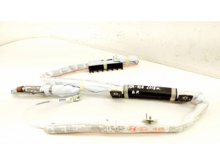 Боковая подушка безопасности 85020H8000, H885020000 KIA Rio