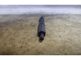 Форсунка 28237259    Renault Clio III   