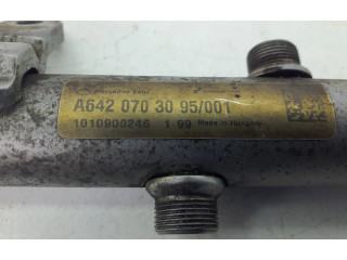 Vstřikovací lišta A6420703095, 1010900246 Mercedes-Benz E W212