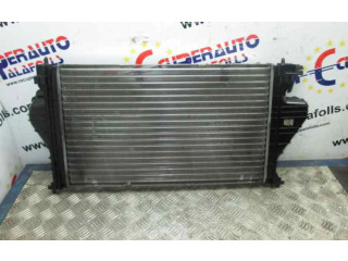 Интеркулер     Citroen Berlingo 