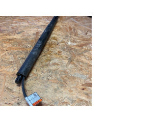 Amortizatorius su spyruokle