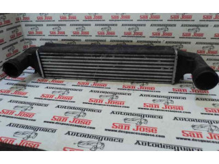 Интеркулер     BMW X3 E83 