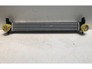 Интеркулер 6R0145805, V9113003 Skoda Fabia Mk2 (5J)