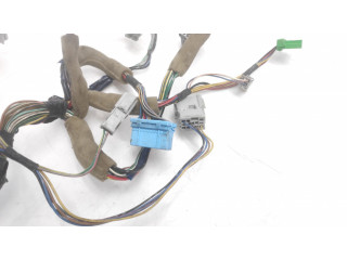 Проводка передних дверей