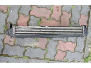 Интеркулер Skoda Fabia Mk2 (5J)