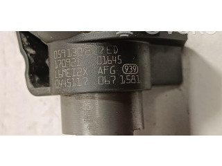 Vstřikovač 0445117067, 059130277ED Audi Q7 4M