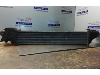 Интеркулер  A2115001102, A2115001102   Mercedes-Benz E AMG W211 