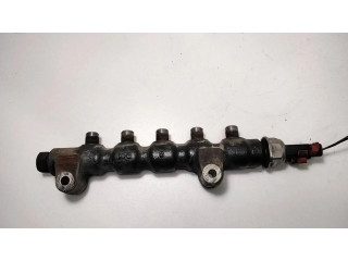 Vstřikovací lišta 9654592680, 55PP0602 Citroen C2 pro naftový motor 1.4