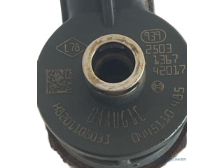 Форсунка 0445110485, H8201108033 Dacia Logan II