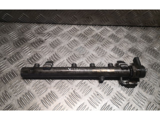 Топливная рампа 6420700495, 6110780449   Mercedes-Benz ML W164   для двигателя OM 642.940