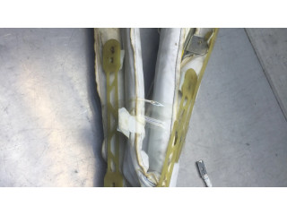 Боковая подушка безопасности 1495298080, 100158   Citroen C8