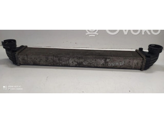 Интеркулер  A1695000000, A1695000000   Mercedes-Benz A W169 