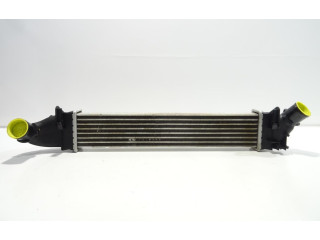 Интеркулер 6001548727 Dacia Logan I