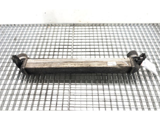 Интеркулер Y3427002 Skoda Rapid (NH)