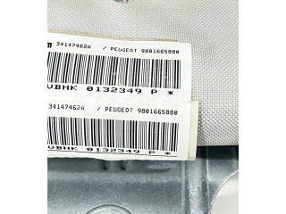 Подушка безопасности двери 9801665880   Peugeot 5008