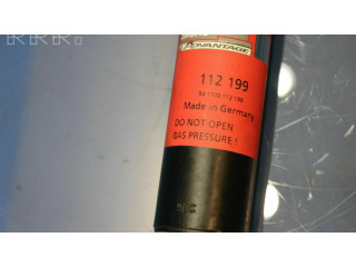 Задний aмортизатор      