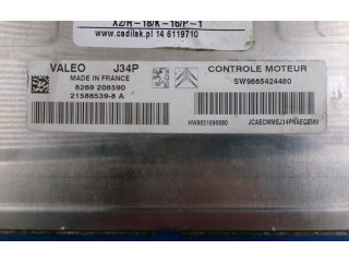 Блок управления двигателем Блок управления 9665424480, 9665424480 Alpine C2