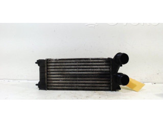 Интеркулер     Citroen DS4 