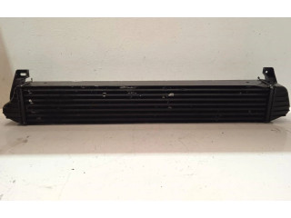 Интеркулер  52014780AA   Jeep Grand Cherokee (WK) 