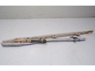 Подушка безопасности двери 5JA880741D, 5JA880741D   Skoda Rapid (NH)