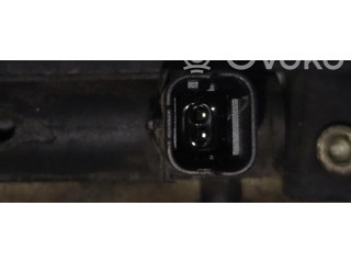 Топливная рампа Lancia Phedra