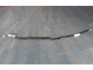 Подушка безопасности двери 3D1880741C, 0322974C Volkswagen Phaeton