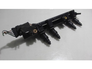 Топливная рампа Renault Clio II