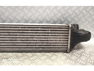 Интеркулер A2045000200 Ford Fiesta