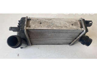 Интеркулер 144967634R, 144967634R Dacia Dokker