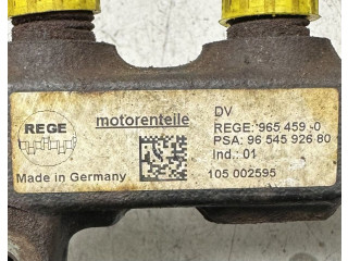 Vstřikovací lišta 9655465480, 9654590 Citroen Berlingo 9HT (DV6BTED4)