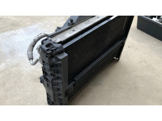 Комплект вентиляторов 752711415, E2379V BMW 3 E92 E93 2.5