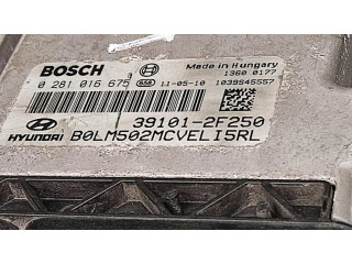 Řídící jednotka 391012F250, 0281016675 Hyundai ix35 2011