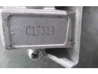 Vstřikovač CST35129AS, C1731A KIA Carens I TB