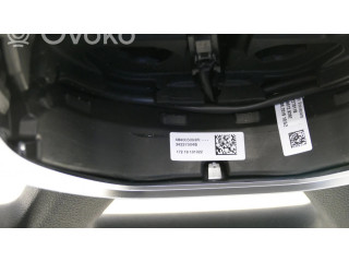 Руль Dacia Sandero 484005093