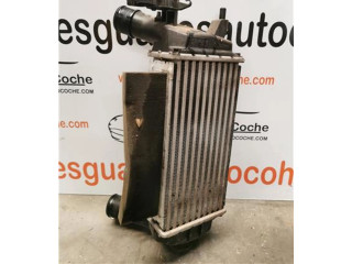 Интеркулер Ford Ecosport