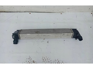 Интеркулер 8200880552 Dacia Duster