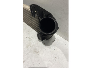 Интеркулер  8200409045, 8200409045   Dacia Sandero 