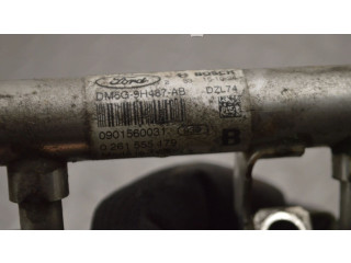 Vstřikovací lišta DM5G9H487AB Ford Fiesta M1JH
