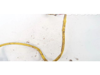 Двигатель центрально замка 87bg220a20a1b, 403.49012v Mitsubishi Space Runner