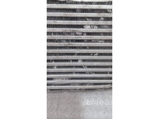 Интеркулер     Renault Dacia Duster 