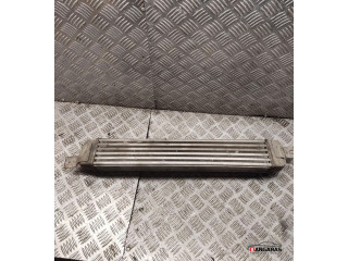 Интеркулер     Opel Meriva A 