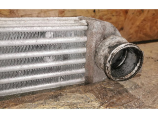 Интеркулер 52401015, DWT77749H0918 Opel Meriva A