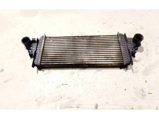 Интеркулер A1645001900, A1645001900 Mercedes-Benz R W251