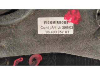 Zpětné zrcátko Peugeot 206+ 96480957XT, RETROVISORDERECHO
