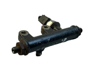 Топливная рампа 4R8Q9C066AE, 5WS40128 Jaguar S-Type 2.7