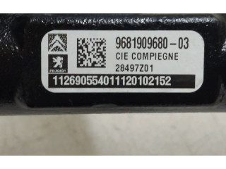 Топливная рампа 9681909680, 28497Z01   Citroen C5  